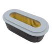 Air Filter - Robin 220 32812 04
