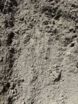Gold Coast Sand