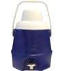 Thorzt Cooler 5Ltr Blue