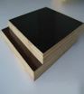 Form Ply