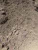 Trade Mix Soil