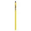 Pole Heavy Duty Fixed Steel Extension (25mm dia)