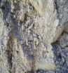 Plasterers Sand